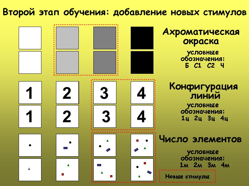 Конфигурация  линий  Число элементов Ахроматическая окраска  условные обозначения:  Б 